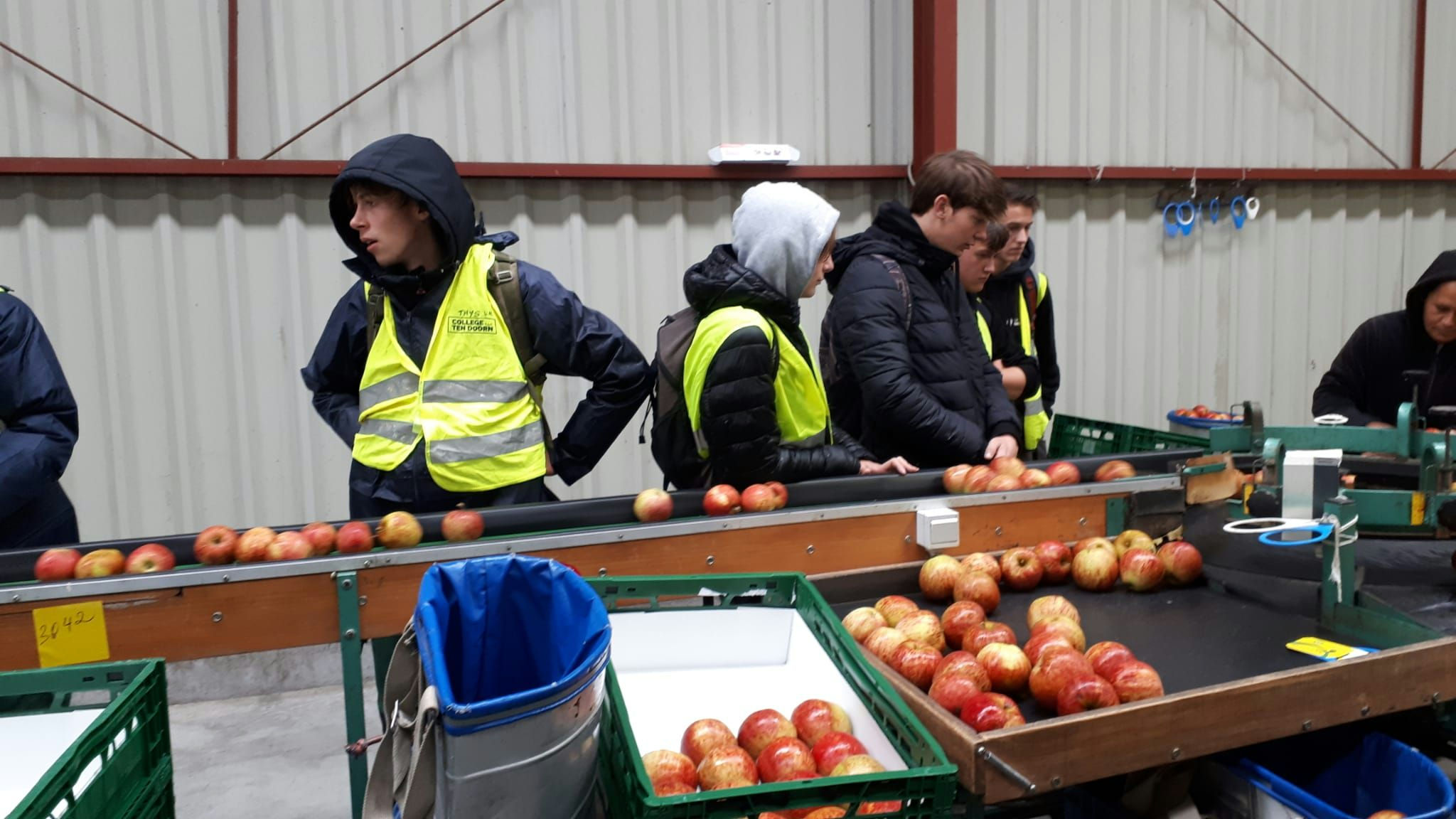Appelpluk Spectrum Practicum 