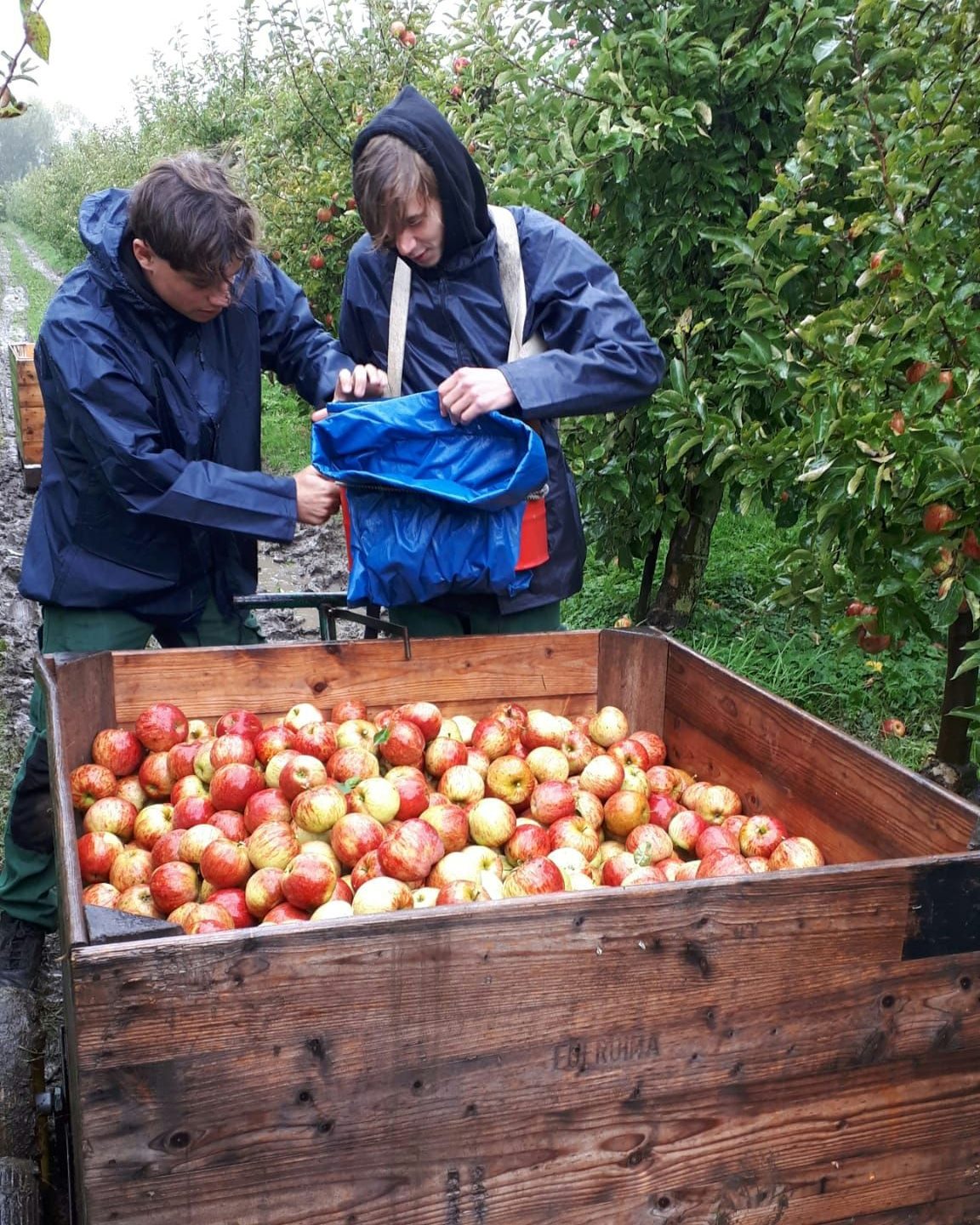 Appelpluk tuinbouwafdeling 